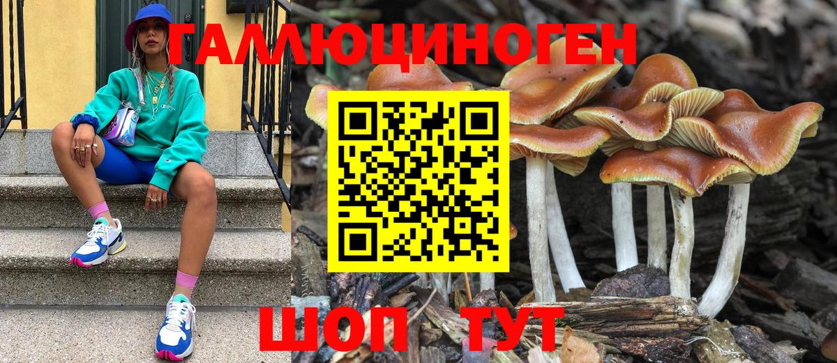 Псилоцибиновые грибы мицелий  Галлюциногенные грибы прущие грибы  Южно-Сахалинск  Вход с VPN 